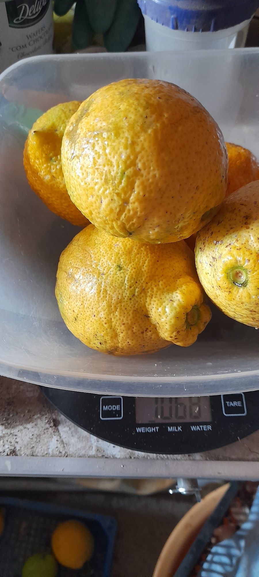 Produtos da horta