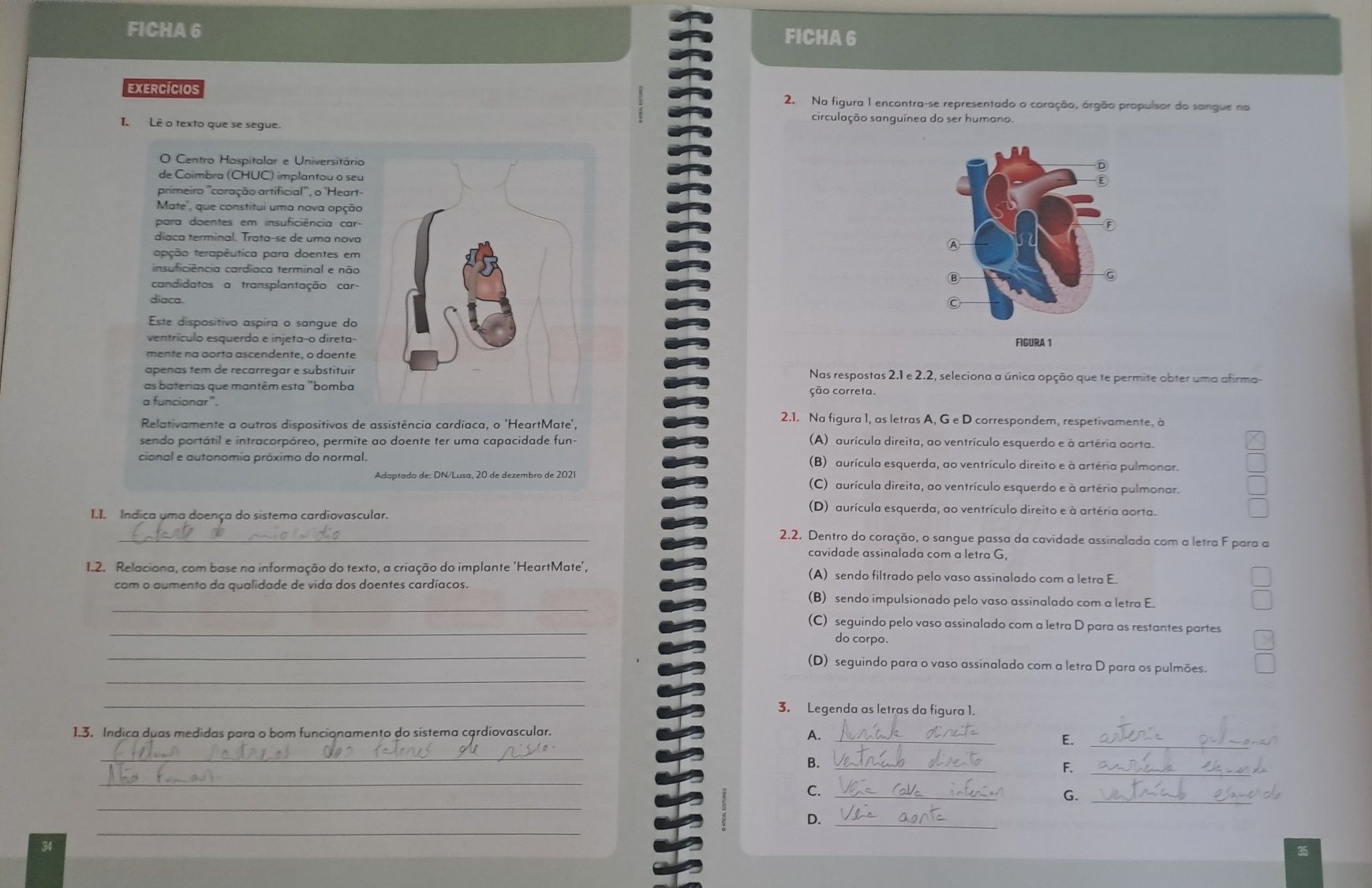 Caderno de actividades 9° ciências naturais