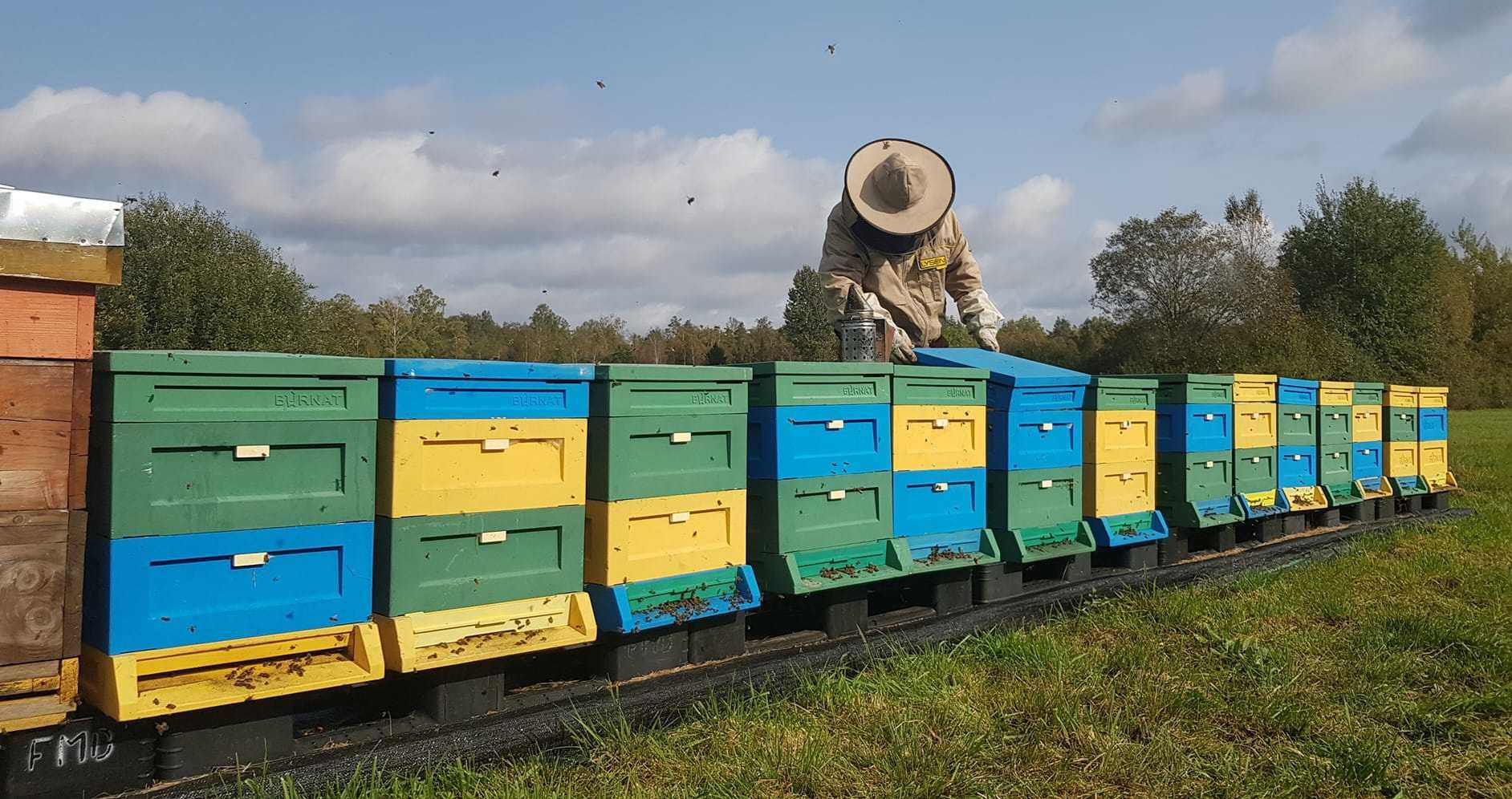 Propolis,miód,pyłek!