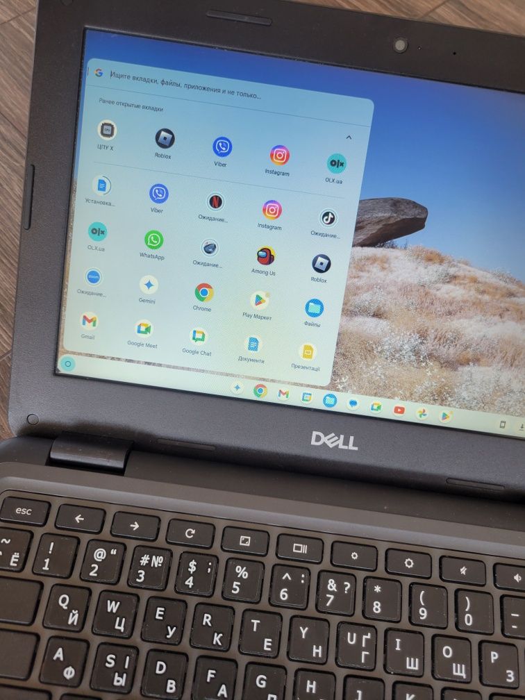 Ноутбук Dell Chromebook 3100 series