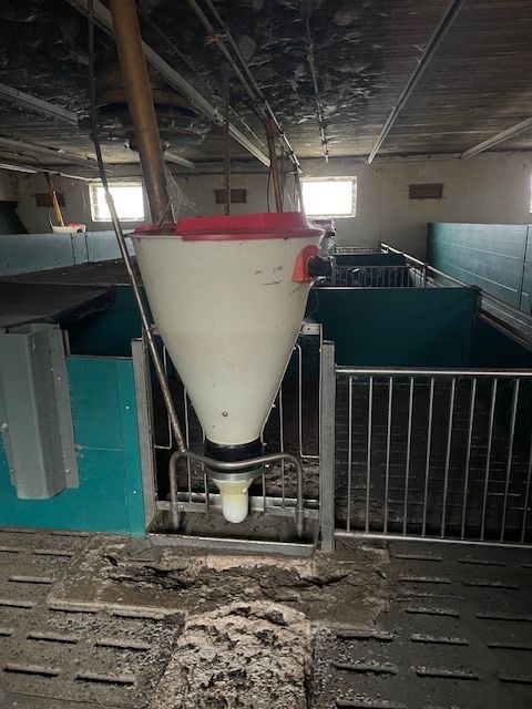 Wygrodzenia 75cm - WARCHLAKARNIA - idealny stan