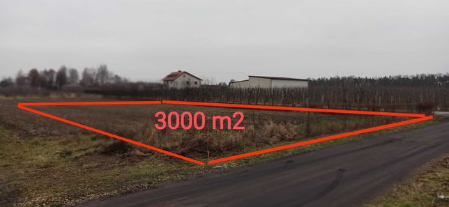 Gośniewice DZIAŁKA 3000 m2