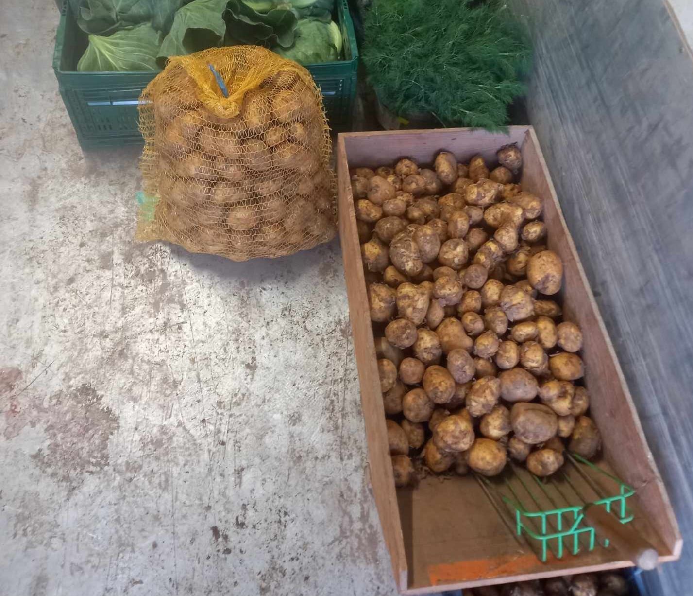 Zboże Pszenica Owies Ziemniaki