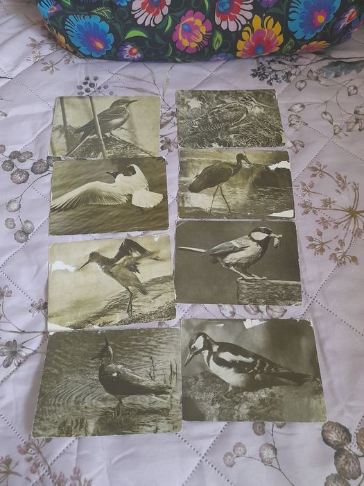 Sprzedam pocztówki z 1971 r.