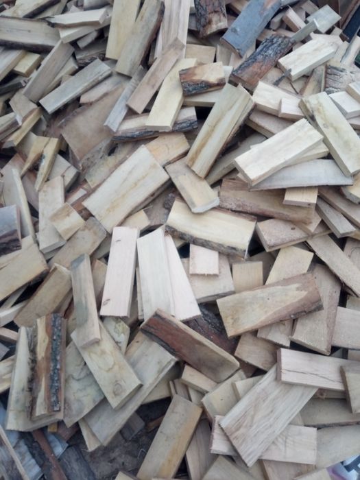 Pocięte zrzyny dębowe