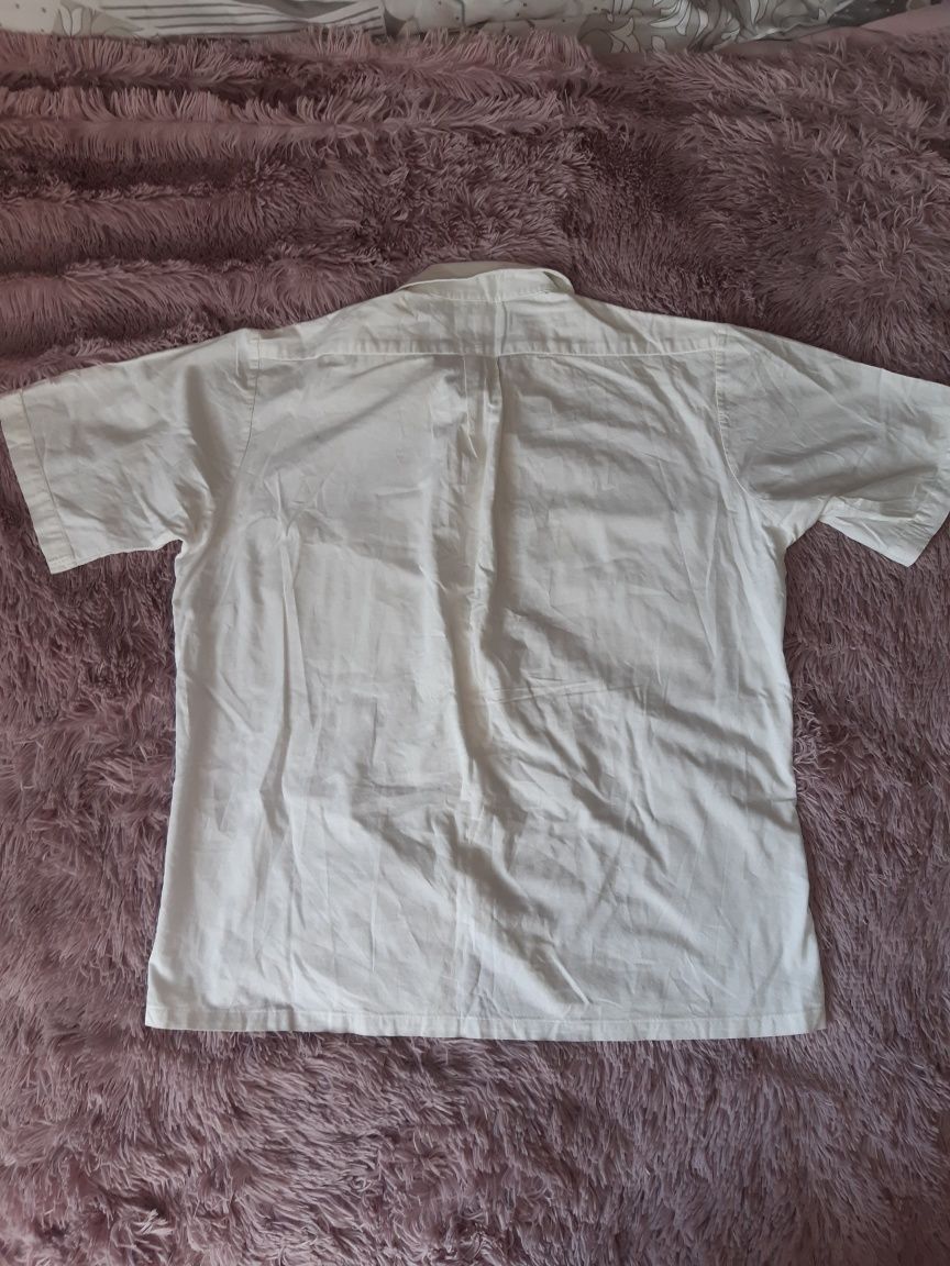 Koszula męska krótki rękaw 100% bawełny rozmiar L