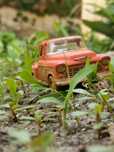 1955 Chevy Stepside Pick-up