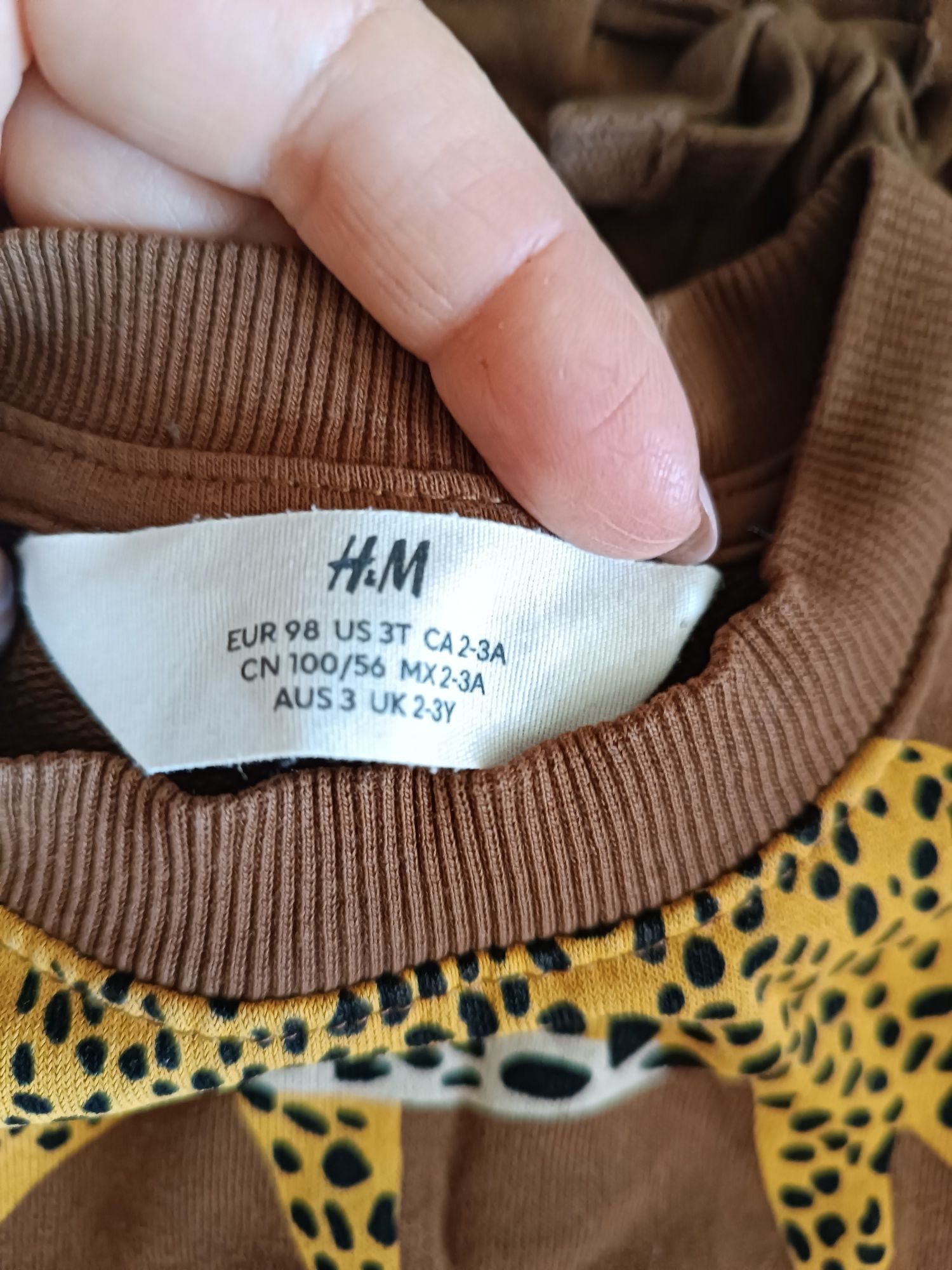 Костюм H&M штани реглан