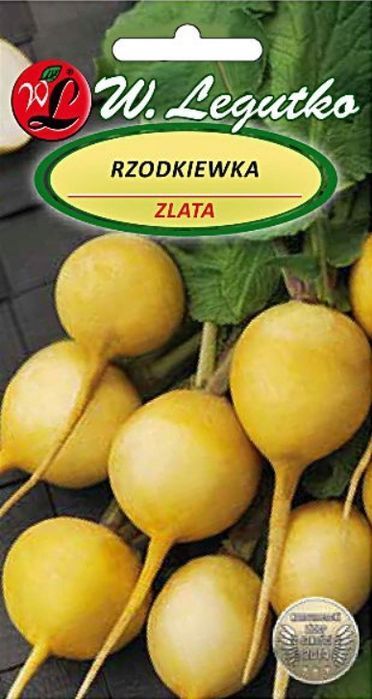 Rzodkiewka ZŁOTA - ŻÓŁTA ostra w smaku - średnio wczesna nasiona
