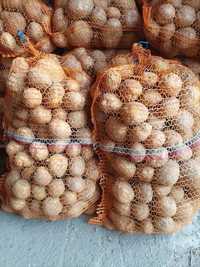 Ziemniaki jadalne i sadzeniaki Vineta, Bellarosa