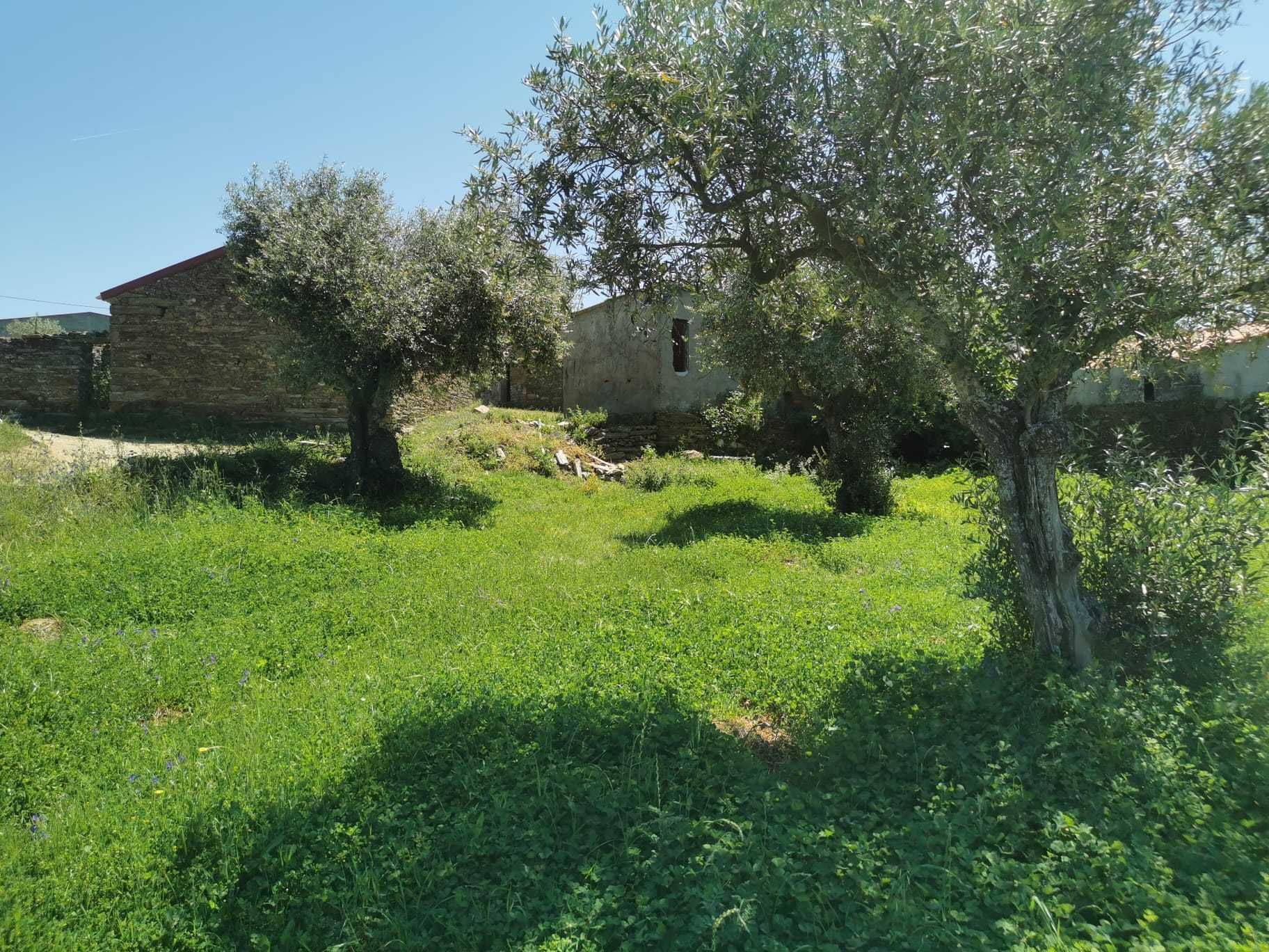 Venda terreno Retaxo - Castelo Branco