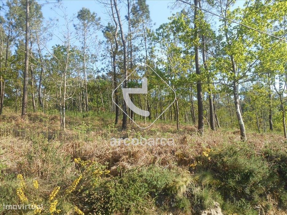 terreno 5000m2, próximo ao caminha de Santiago, Rubiães - Paredes de C