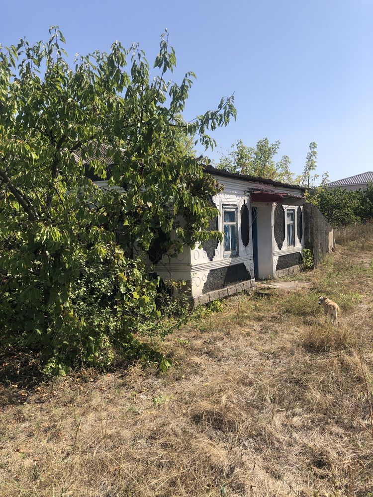 Продаж будинку у Великій Олександрівці