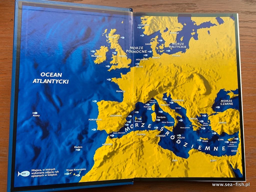 Książka Ryby Morza Śródziemnego i Atlantyku