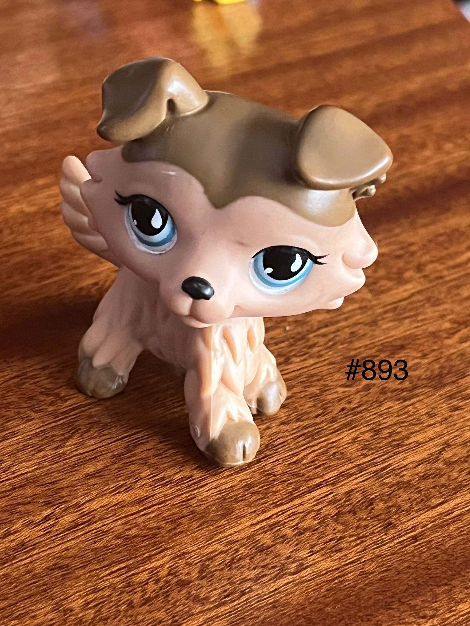 little pet shop #893