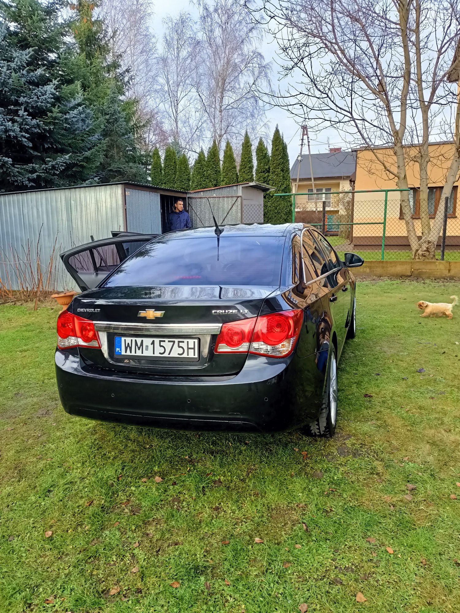 Chevrolet cruze 2010