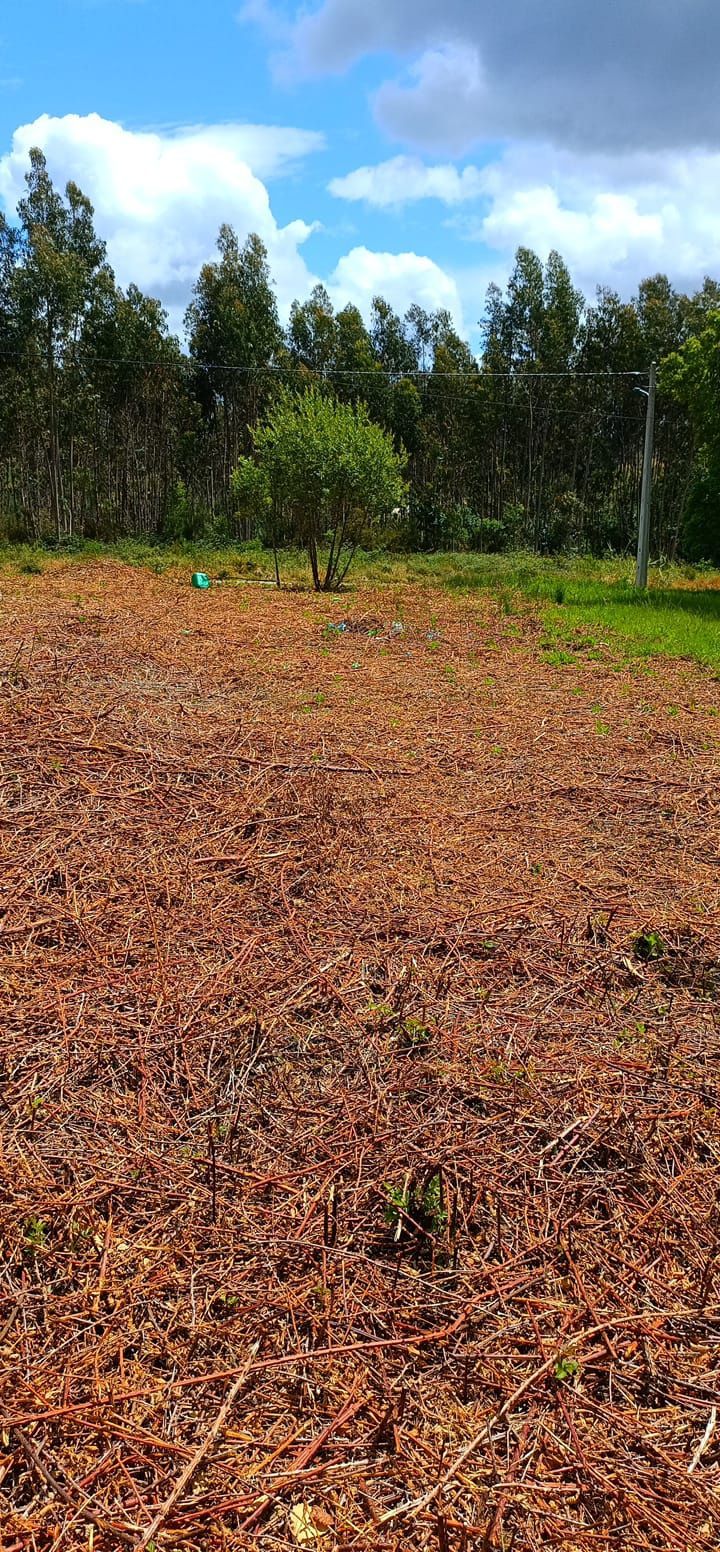 RESERVADO - Moradia em plena natureza  Caldas da Rainha