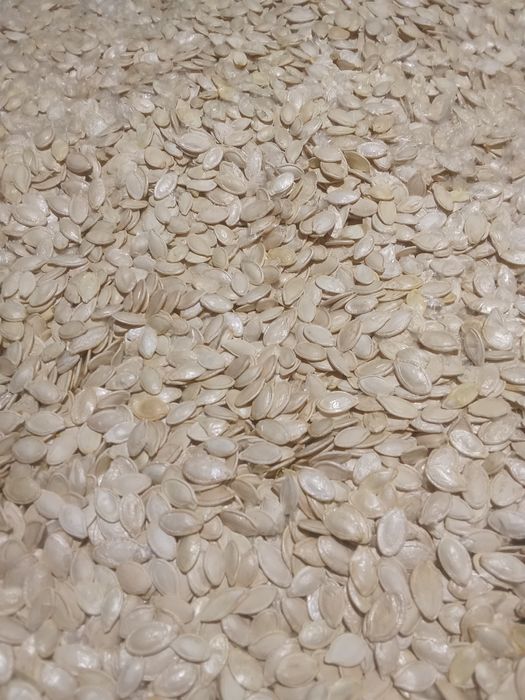 Гарбузове насіння