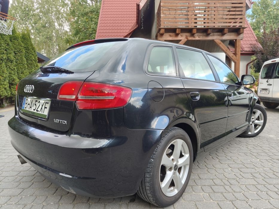 Audi A3 8P LIFT 1.9 TDi Model 2009 Alu Climatronic Grz.Fot. Jasne Skór