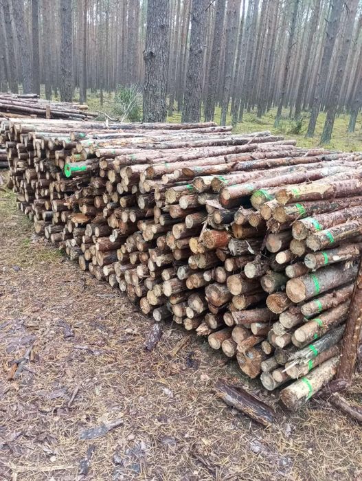 Drewno opalowe 110zl