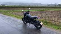 Benelli Leoncino Trail 500