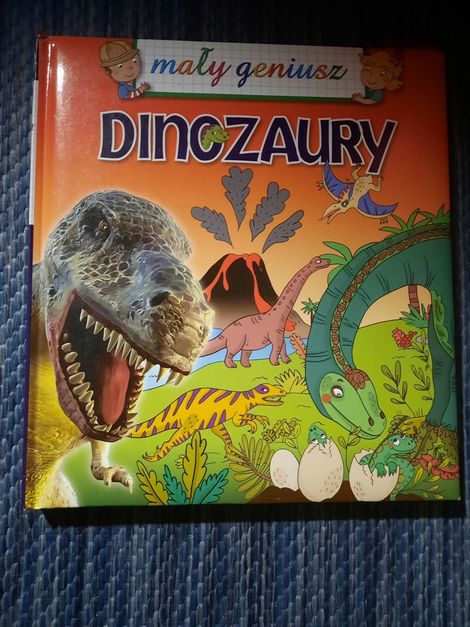 Książka ,,Dinozaury''