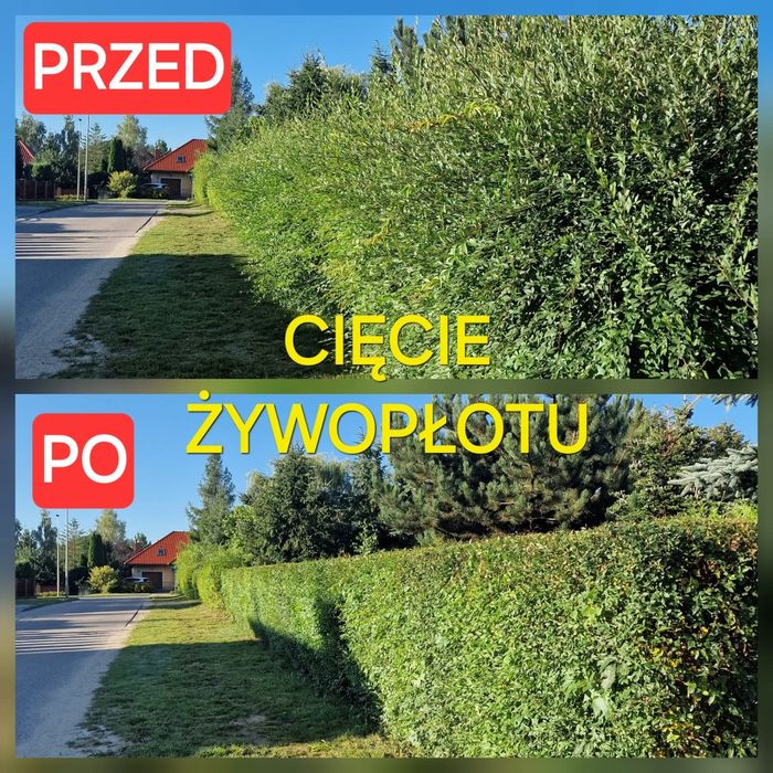 PIELĘGNACJE Ogrodów, KOSZENIE Trawy  Glebogryzarka Separacyjna ,,