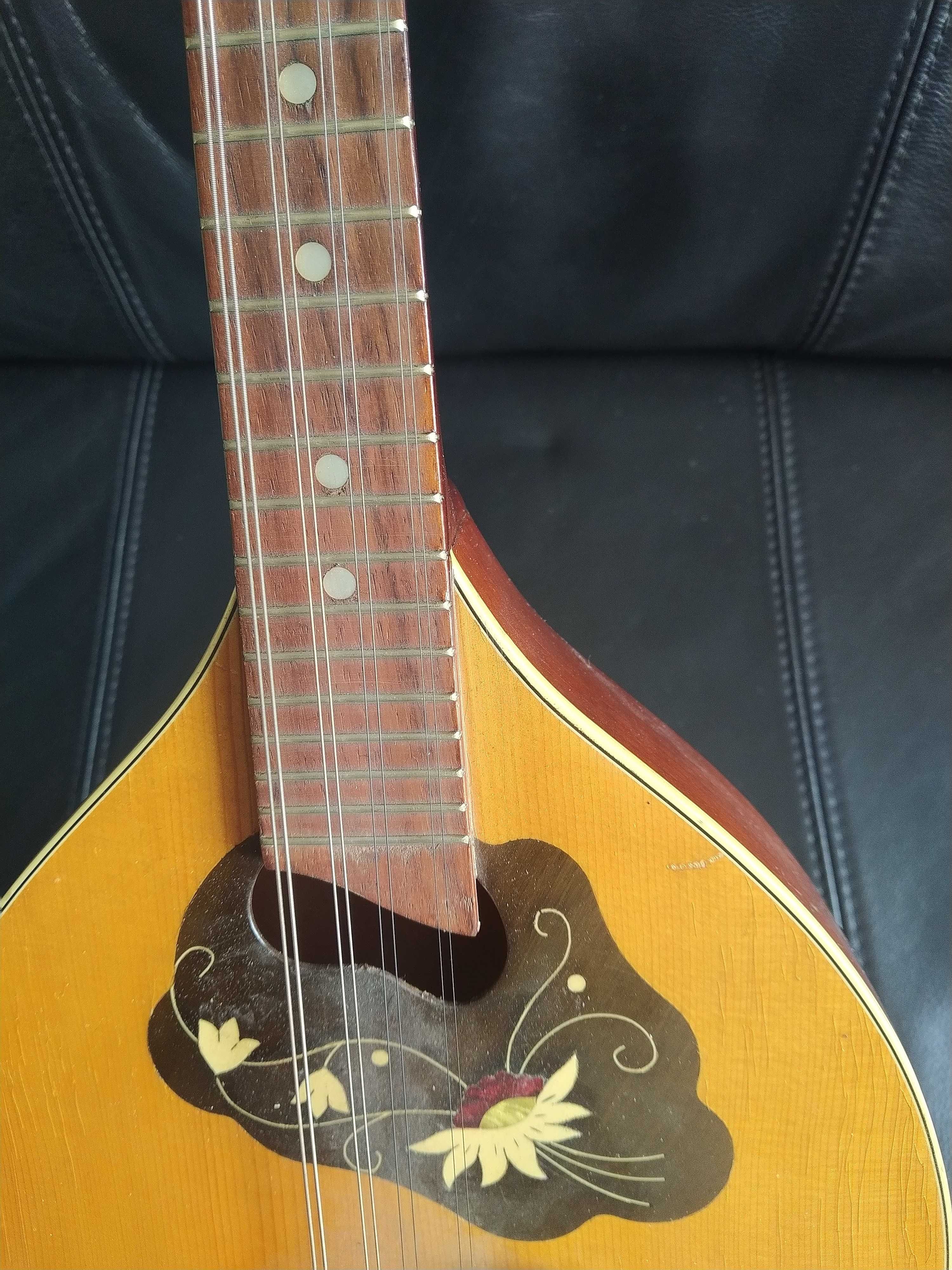 Bandolim vintage Framus (Alemanha) em madeira nobre
