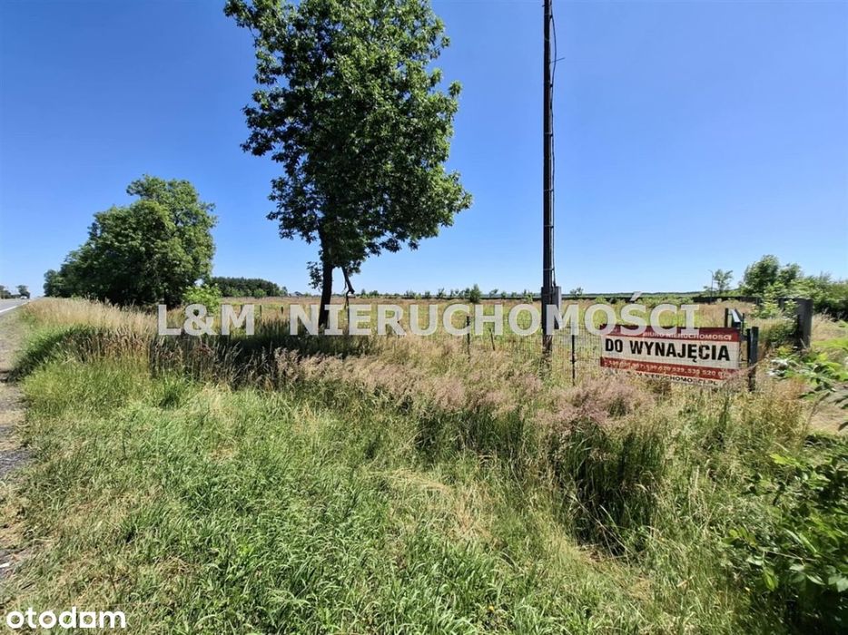 Usługowa działka w Wilczy !!
