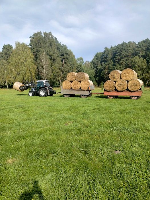 Świeże dobrze wysuszone siano