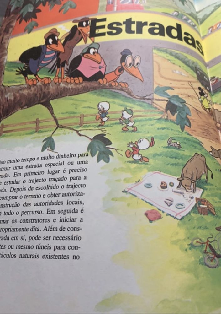 Livro “É assim no campo”