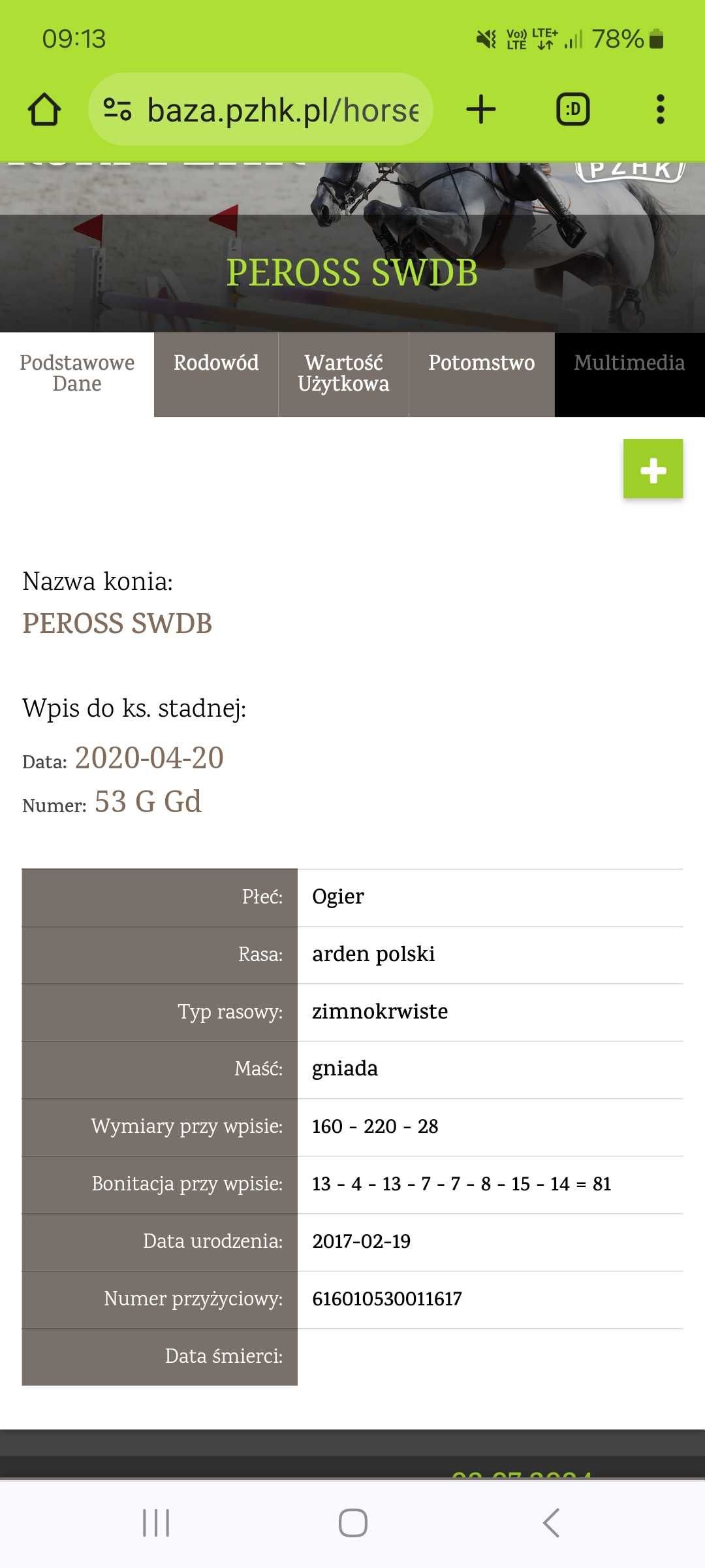 Ogier Arden Polski PEROSS SWDB