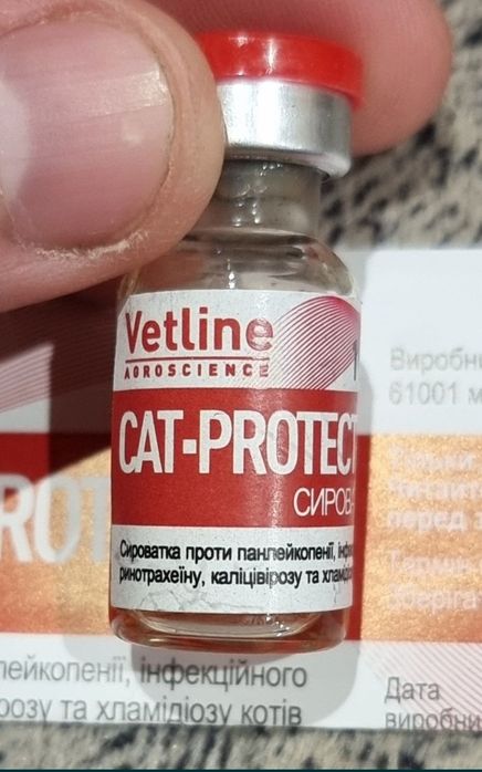 Cat protect cat-protect analog globfel panleukopenia