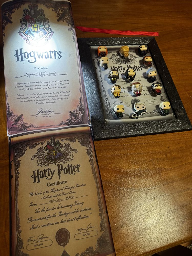 Quadro harry potter