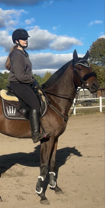 Na sprzedaż PIĘKNY wałach 4 lata