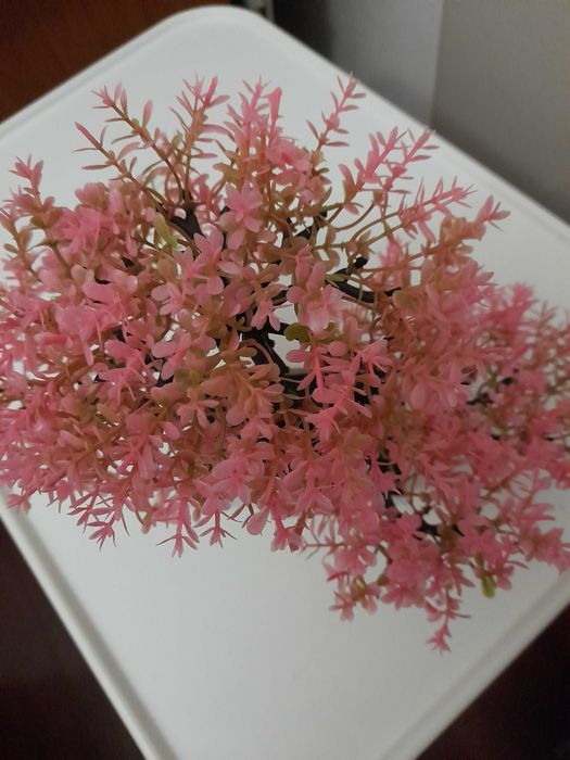 Decoração para qualquer lugar