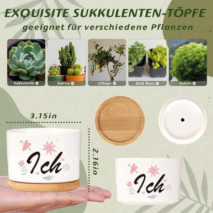 DONICZKI 3szt ceramiczne na kaktusy dekoracyjne na sukulenty NOWE s186