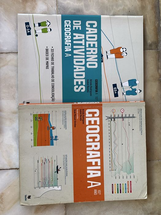 Vendo manuais e cadernos de atividades do 10 ano
