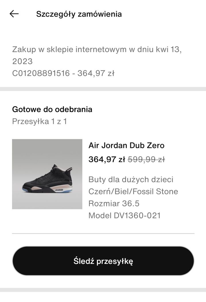 Air Jordan dub zero