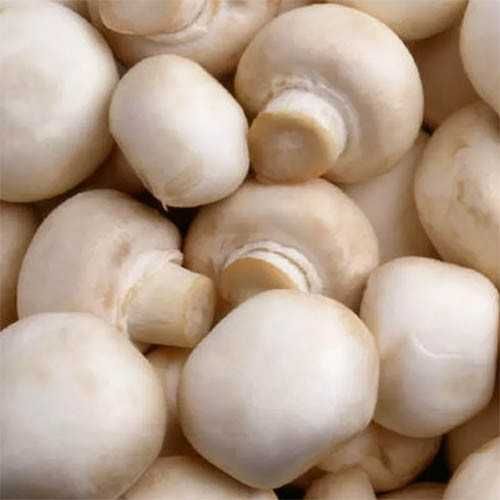 Печериці гуртом — свіжі, у лотках, консервовані, сорт 1-2, Шепетівка