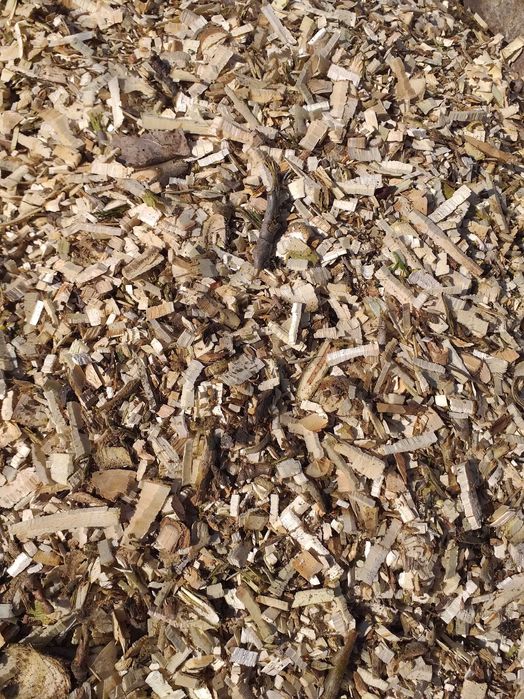 Zrębka liściasta lub iglasta worek 100L