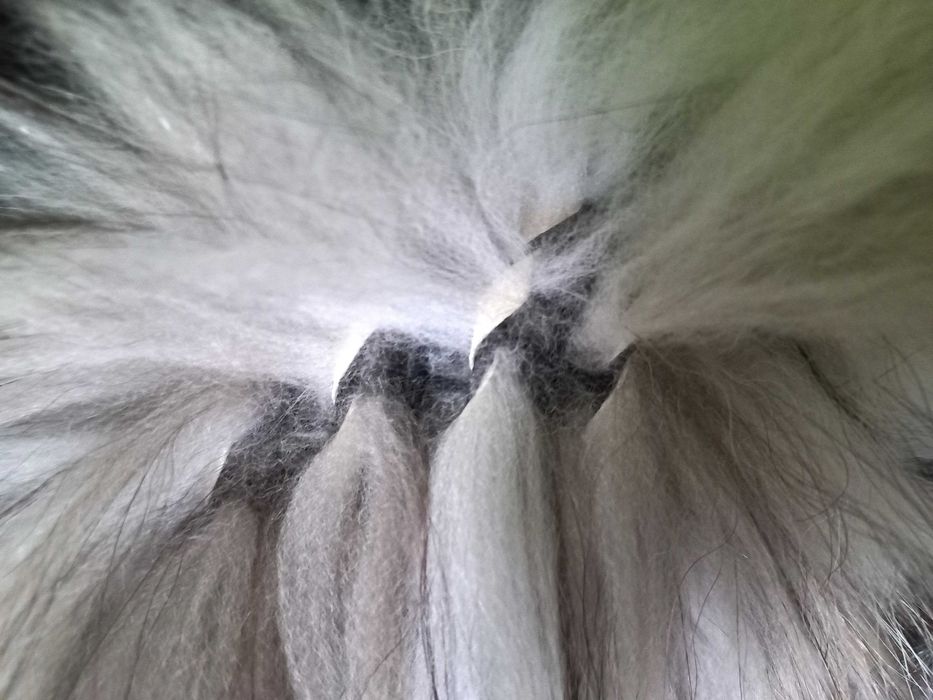 Ekstrawaganckie futro naturalne z lisa + gratis L-XXL