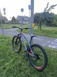 Kellys whip 50 dirt