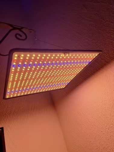 Potężna Lampa LED 1200W Do Oświetlania Roślin Uprawy Dla Growboxa