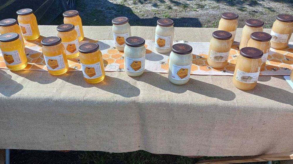 Miód prosto z pasieki