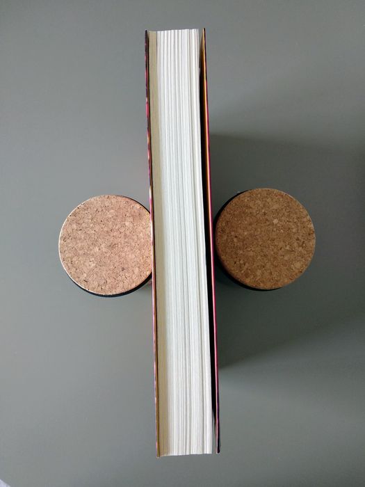 Livro "A Dama Negra" de Nora Roberts