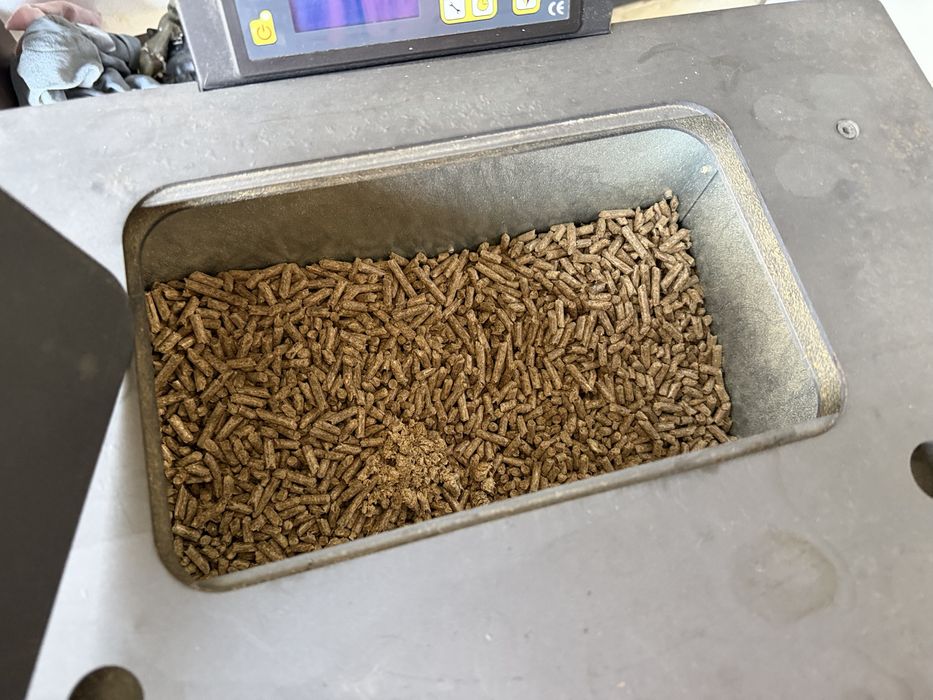 Caldeira salamandra pellets de 13kw Modelo DB-241