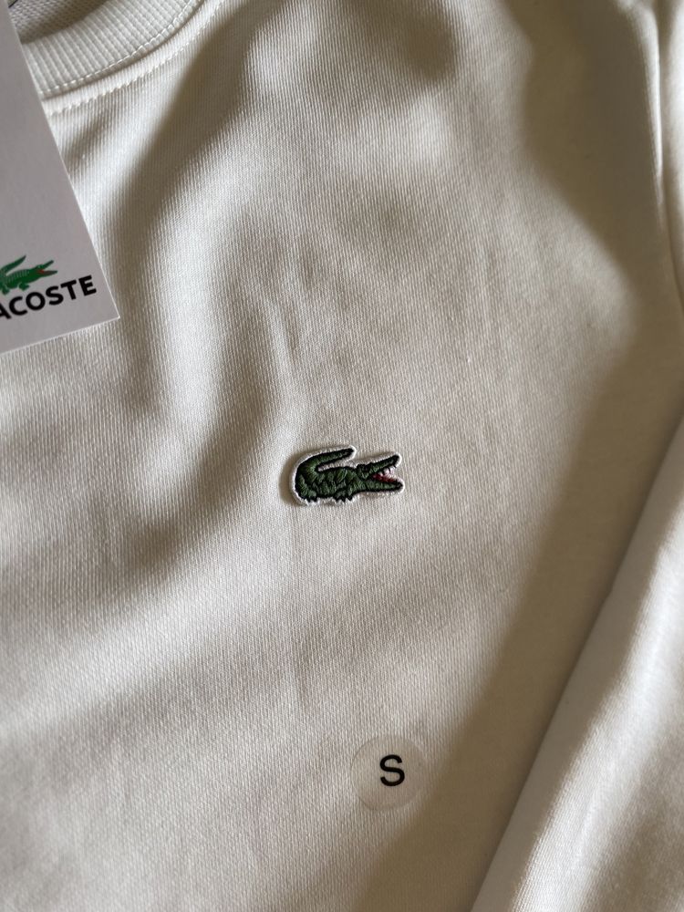 sweat da lacoste