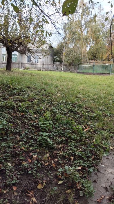 Житловий Будинок з ділянкою