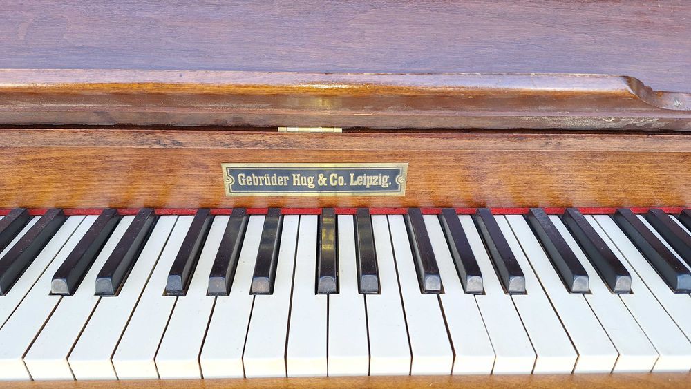 Fisharmonia po renowacji